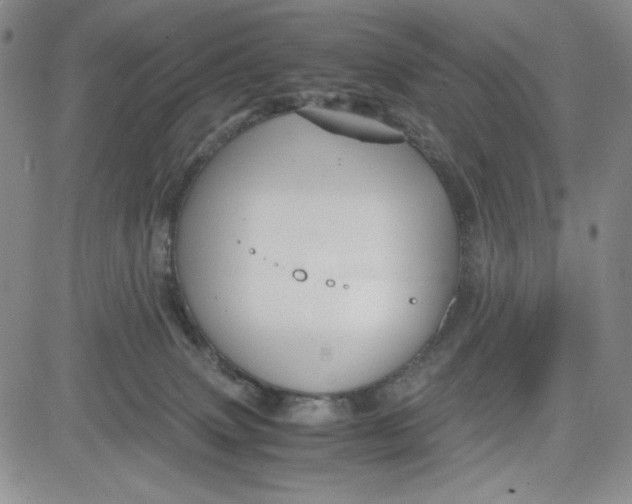 X0000080810083200701051201