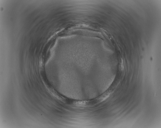 X0000080810084200701051201