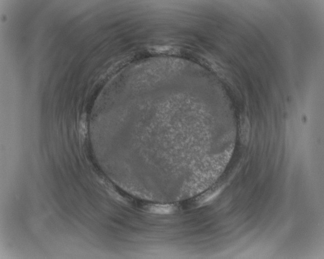 X0000080810085200701051201