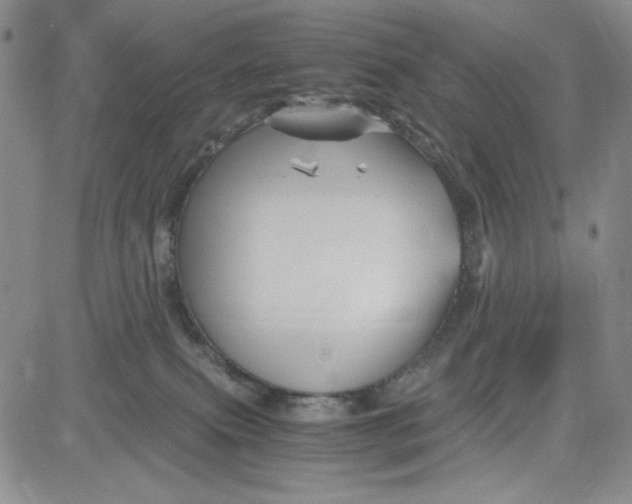 X0000080810087200701051201