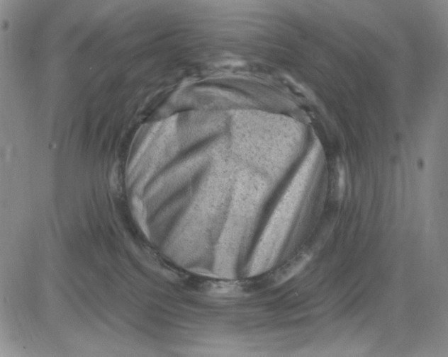 X0000080810088200701051201