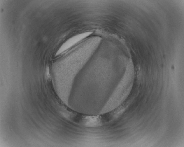 X0000080810089200701051201