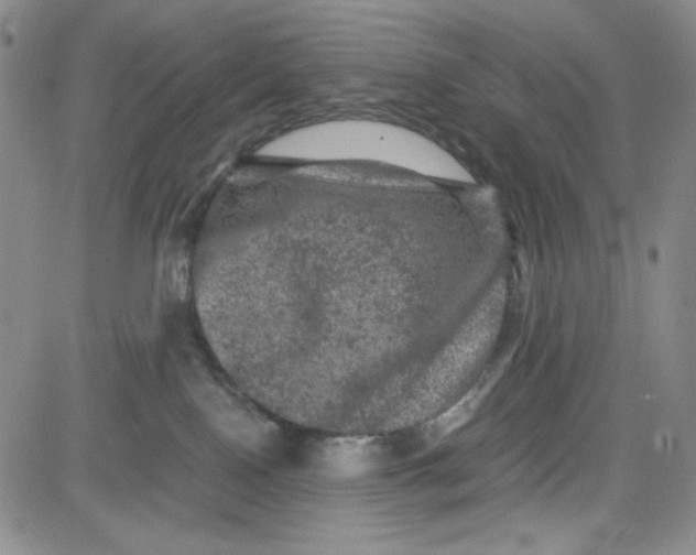 X0000080810090200701051201