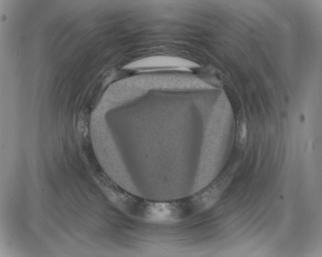 X0000080810091200701051201