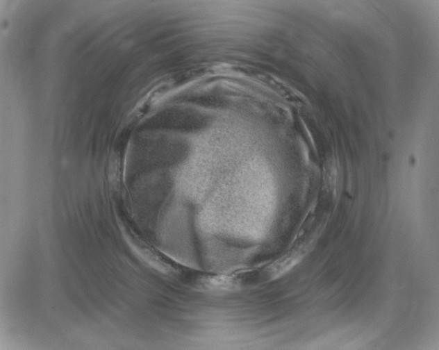 X0000080810092200701051201