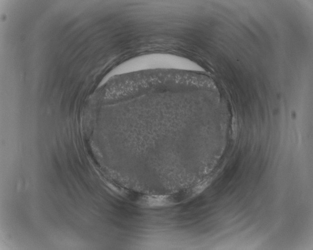 X0000080810093200701051201