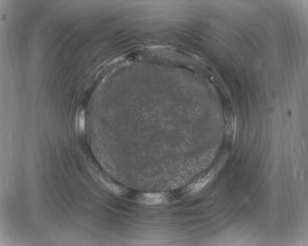 X0000080810095200701051201