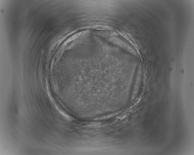 X0000080810097200701051200