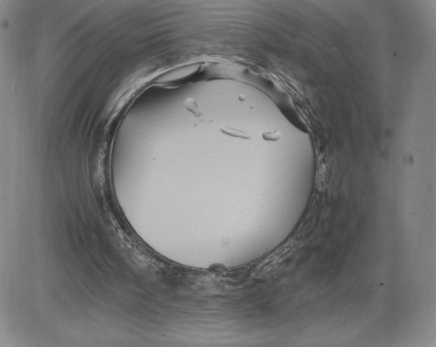 X0000080810098200701051200