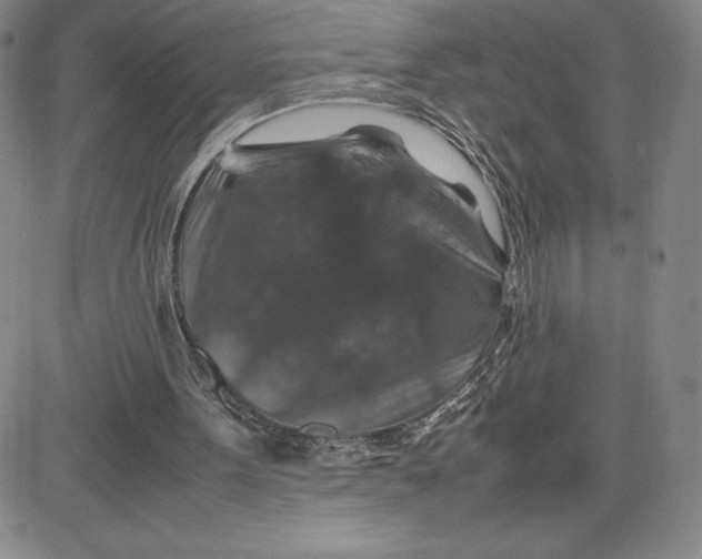 X0000080810099200701051200