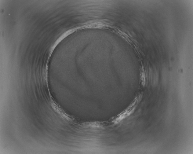 X0000080810100200701051200