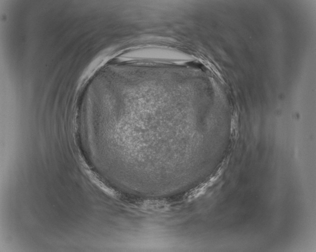 X0000080810101200701051200