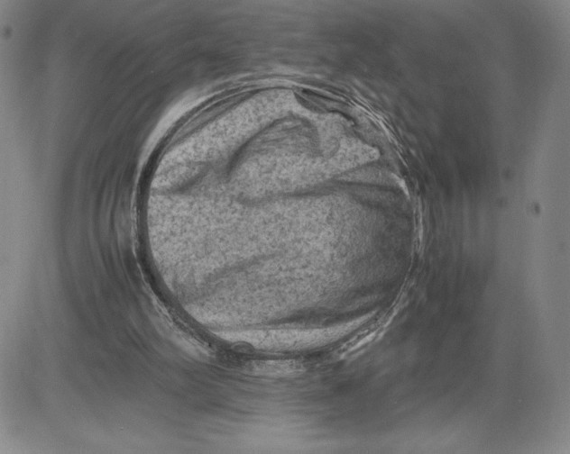 X0000080810102200701051200