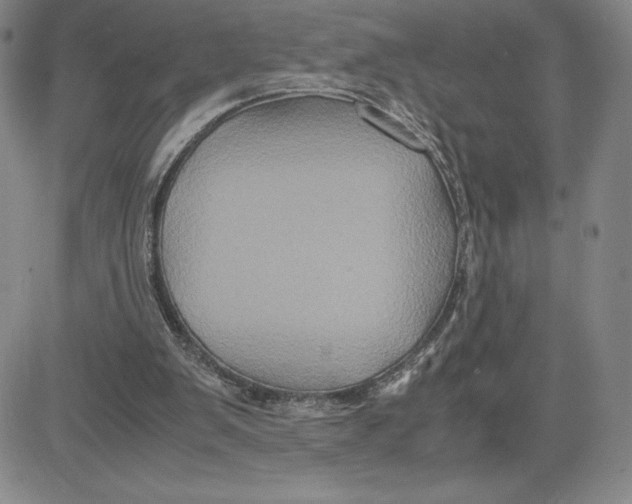 X0000080810103200701051200