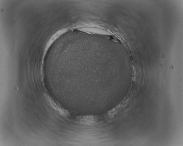 X0000080810104200701051200