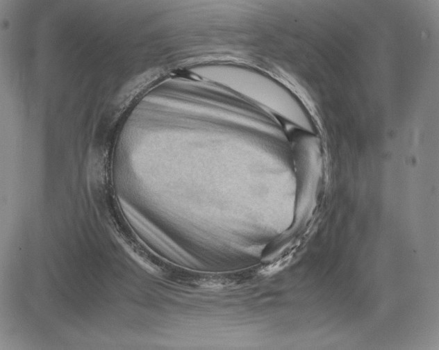 X0000080810105200701051200