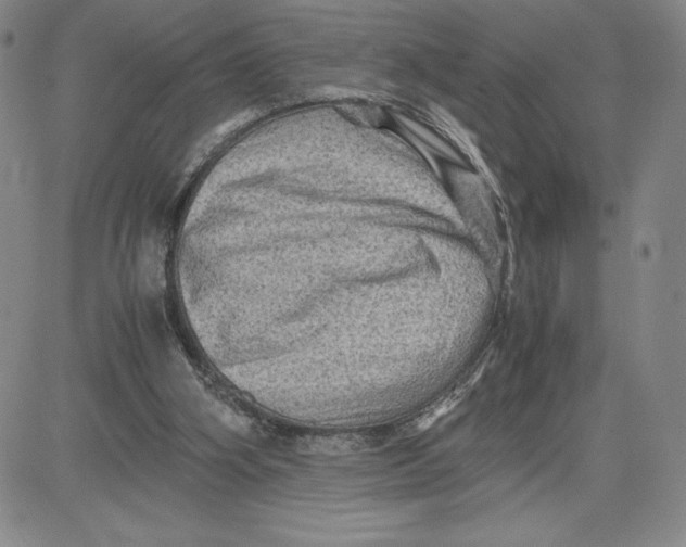 X0000080810106200701051200