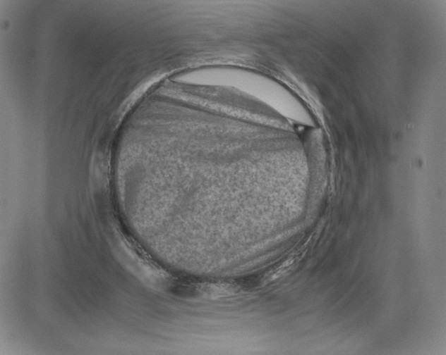 X0000080810107200701051200