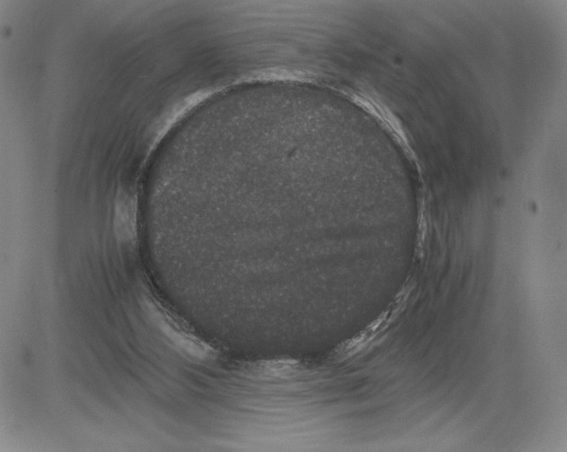 X0000080810108200701051200