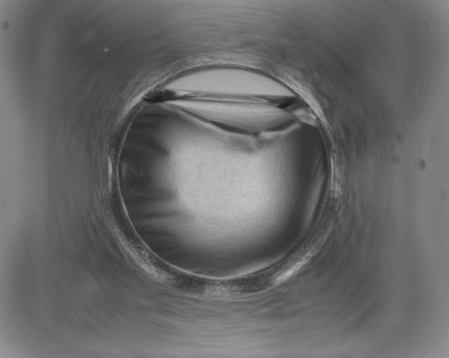 X0000080810109200701051200