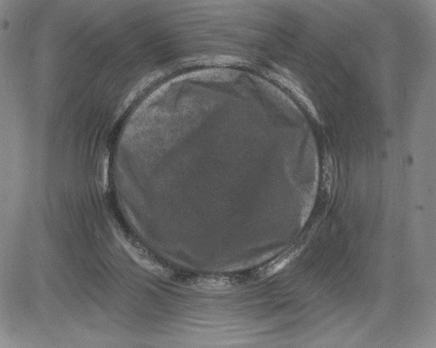 X0000080810110200701051200