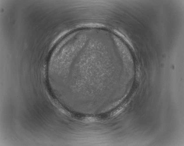 X0000080810111200701051200