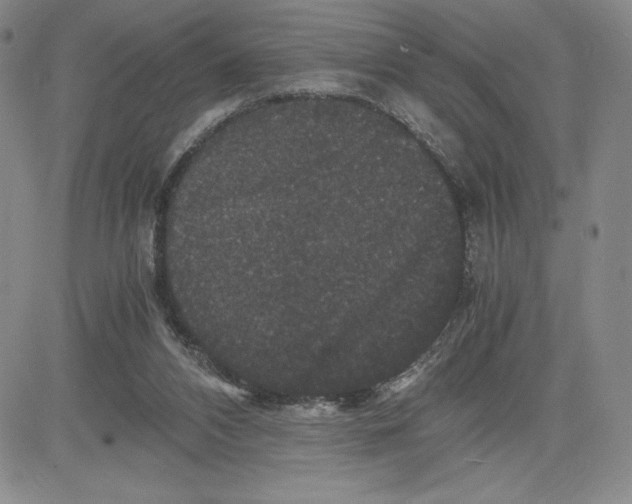 X0000080810112200701051200