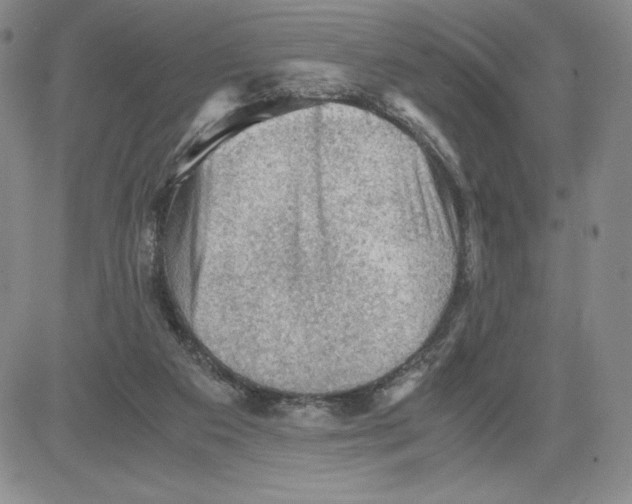 X0000080810113200701051200