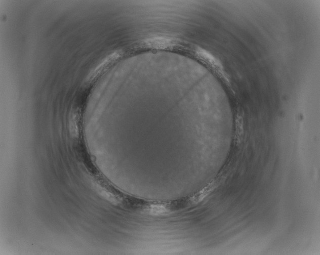 X0000080810114200701051200