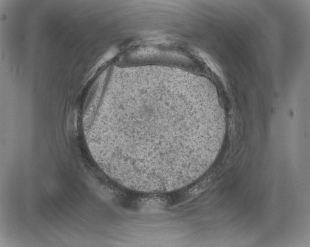 X0000080810115200701051200