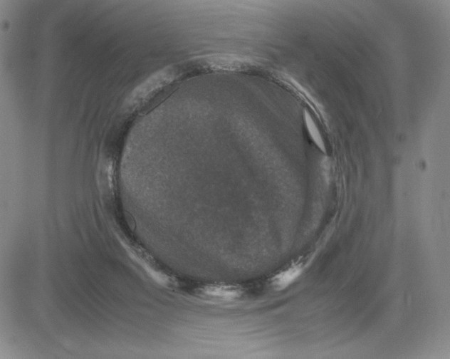 X0000080810117200701051200