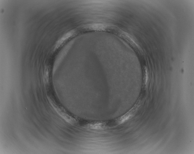 X0000080810120200701051200