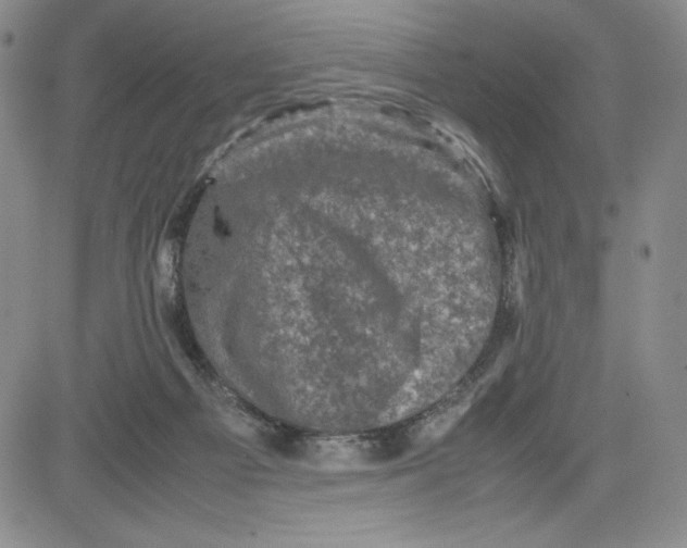 X0000080810121200701051200