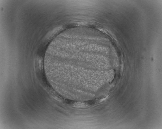 X0000080810123200701051200