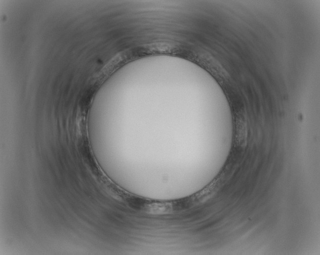 X0000080810126200701051200