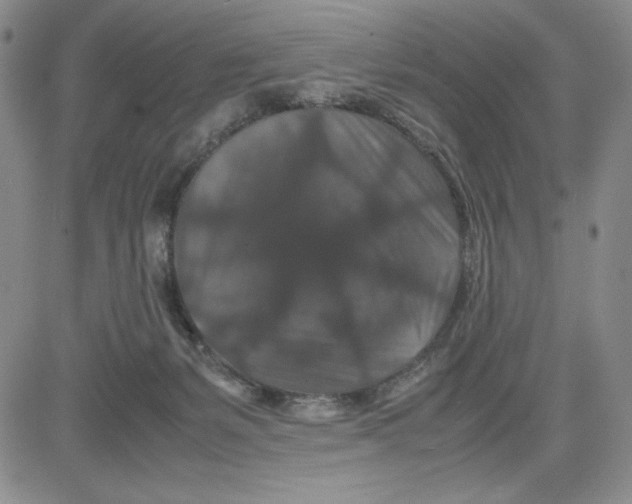 X0000080810127200701051159