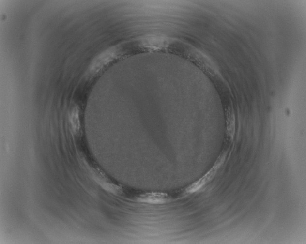 X0000080810128200701051159