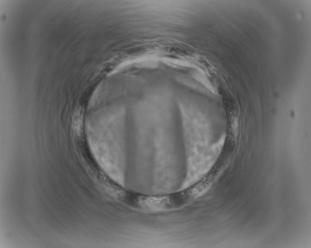 X0000080810129200701051159