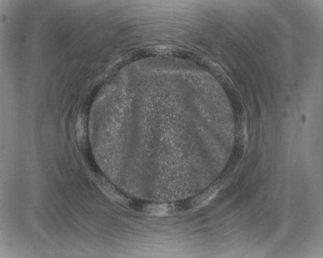 X0000080810131200701051159