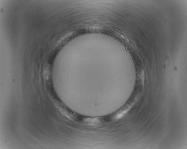 X0000080810133200701051159