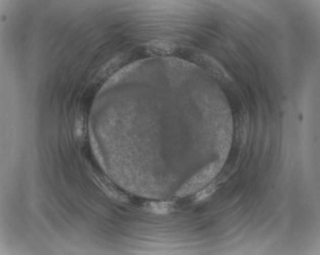 X0000080810134200701051159