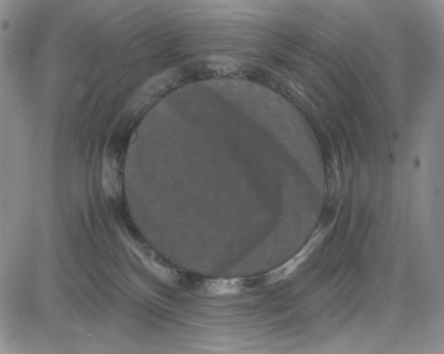 X0000080810136200701051159