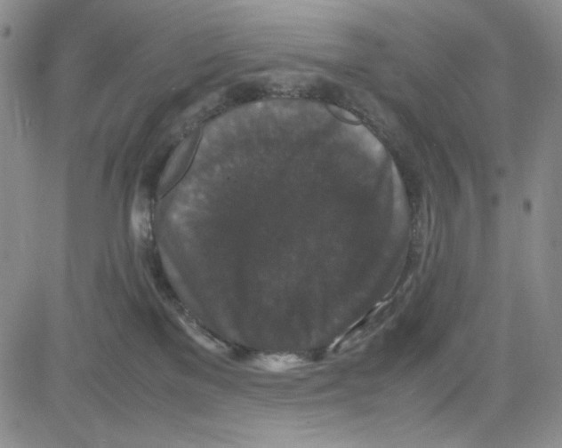 X0000080810137200701051159