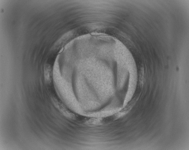 X0000080810138200701051159