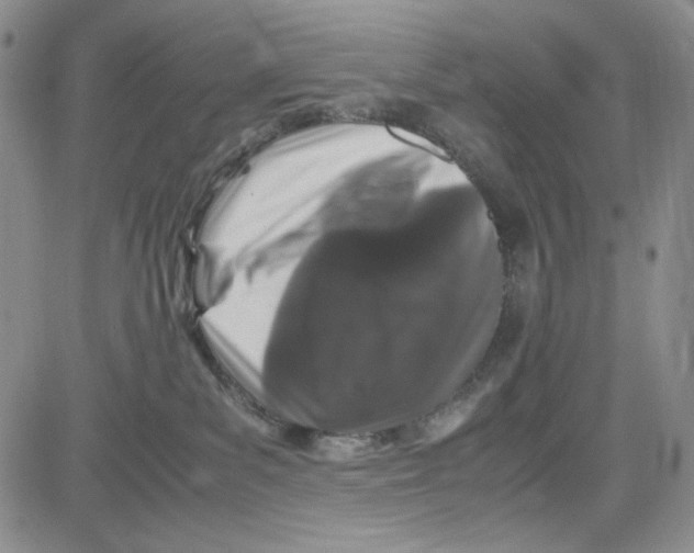 X0000080810139200701051159