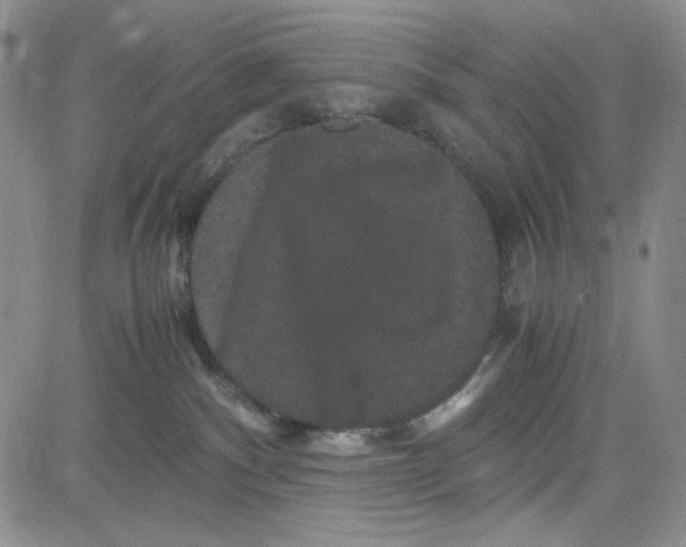 X0000080810140200701051159