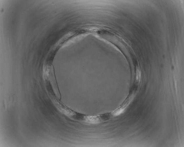 X0000080810141200701051159