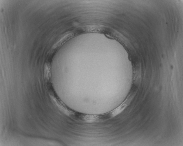 X0000080810142200701051159