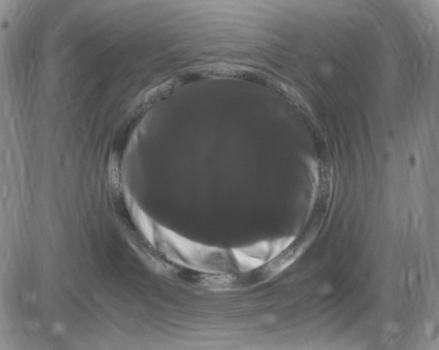 X0000080810143200701051159