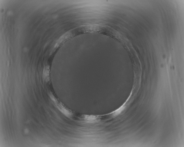 X0000080810144200701051159